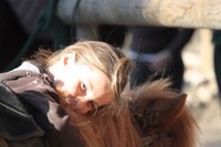 LES TARIFS PONEY6CLUB