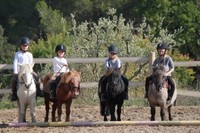 STAGE VACANCES SCOLAIRES