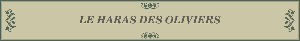 LE HARAS DES OLIVIERS